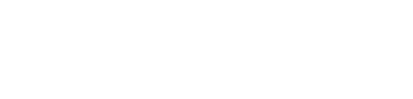 Altra Ambitious
